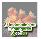 Information on Endangered Species