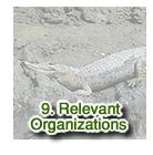 Relevant Organizations