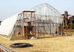 Introduction of Controlled Environment Greenhouse