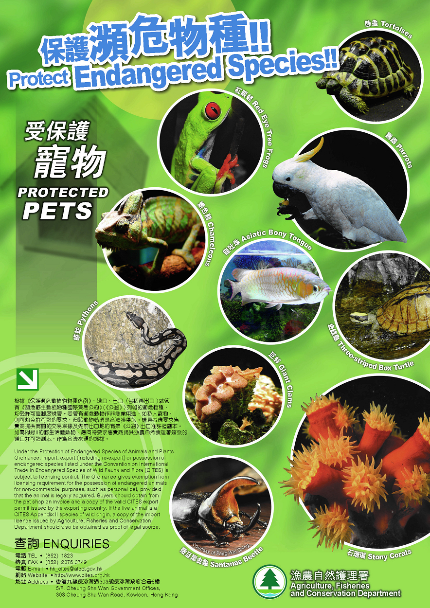 endangered species animals and plants essay endangered species animals and plants essay