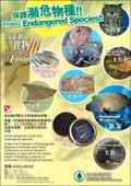Protect Endangered Species - Wild Animals & Plants Souvenirs