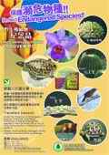 Protect Endangered Species - Wild Animals & Plants Souvenirs
