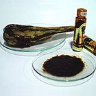 Bear gall bladder and bear bile