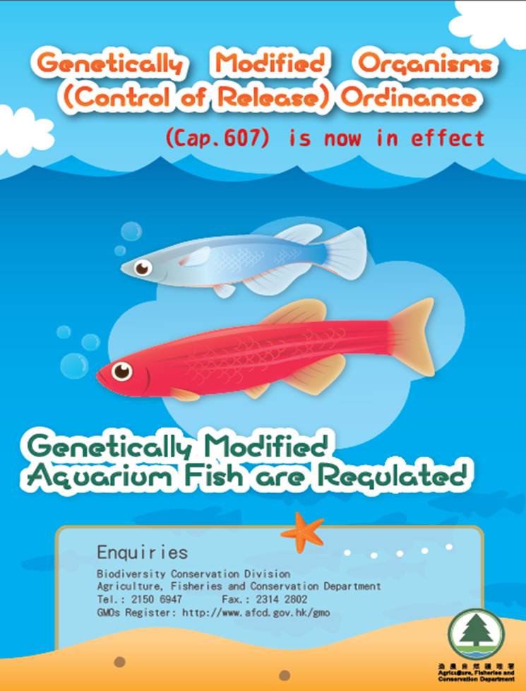 Genetically Modified Aquarium Fish - Simplified version