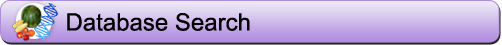 Database Search