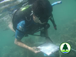 Reef Check Activity 1