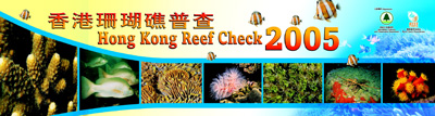 Video of Hong Kong Reef Cheek 2005 Activities