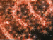 Corals
