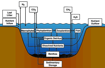 AFCD Benthic Organisms AFCD Benthic Organisms