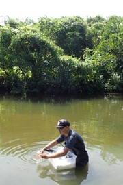 Taking water samples in Mai Po