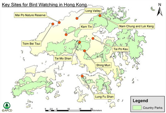 Key Sites for Bird Watching in Hong Kong