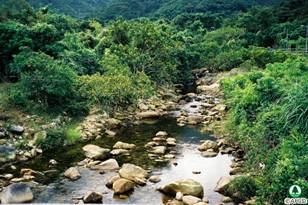 Tai Ho Stream