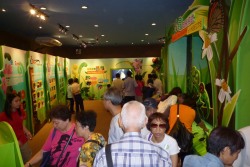 Insectarium, Lions Nature Education Centre
