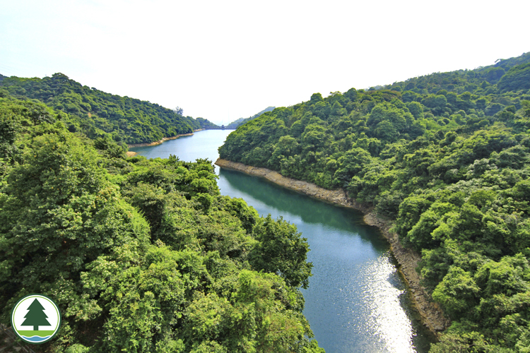 Kowloon Byewash Reservoir