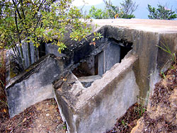 Forts
