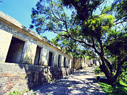 Lung Fu Shan Country Park