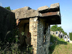 Pinewood Battery