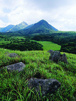 Ngong Ping