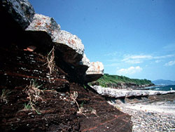 Lung Lok Shui