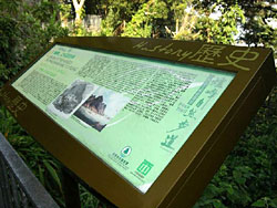 Peak Trail