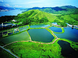 Nam Chung