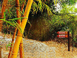 Luk Wu Country Trail