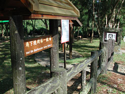 Hoi Ha Barbecue Areas
