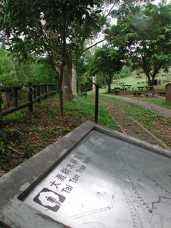 Tai Tin Tree Walk