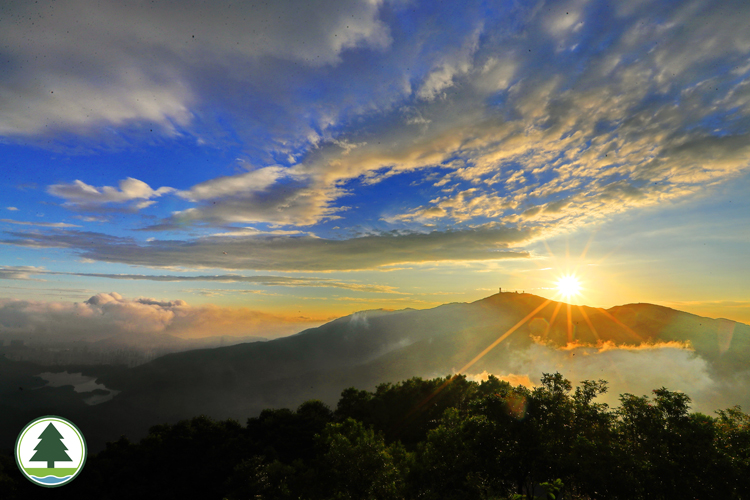 View of Tai Mo Shan from Grassy Hill