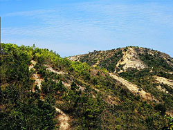 Badly eroded land