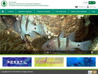 Hong Kong Fish Net