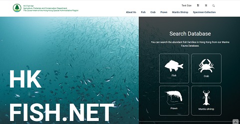Hong Kong Fish Net