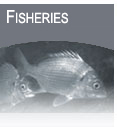 FISHERIES