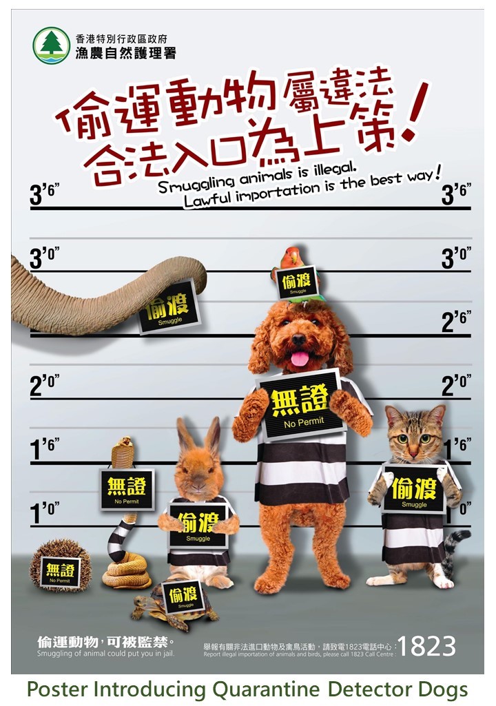 Anti-smuggling Poster