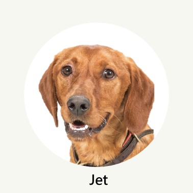 Jet Profile