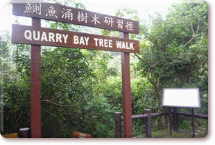 Quarry Bay Tree Walk