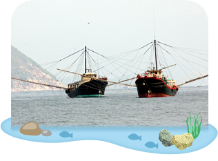 Trawling vessels