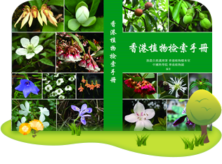 Handbook of Hong Kong Plants