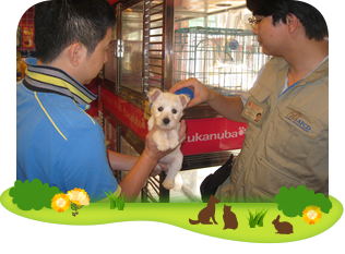 Pet shop inspection