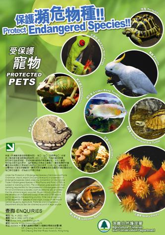 保護瀕危物種 — 受保護寵物