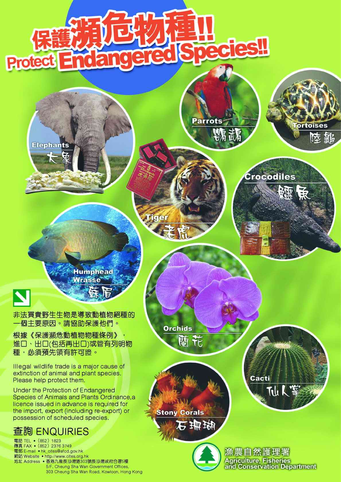 保護瀕危物種 — 一般資料