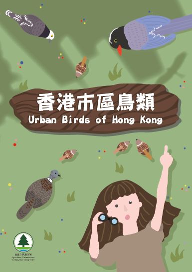 香港市區鳥類-單張