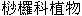  圖 