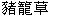  圖 