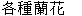  圖 