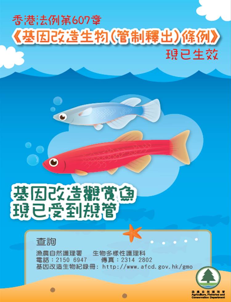 基 因 改 造 觀 賞 魚 - 簡 化 版
