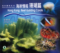 Organ pipe corals