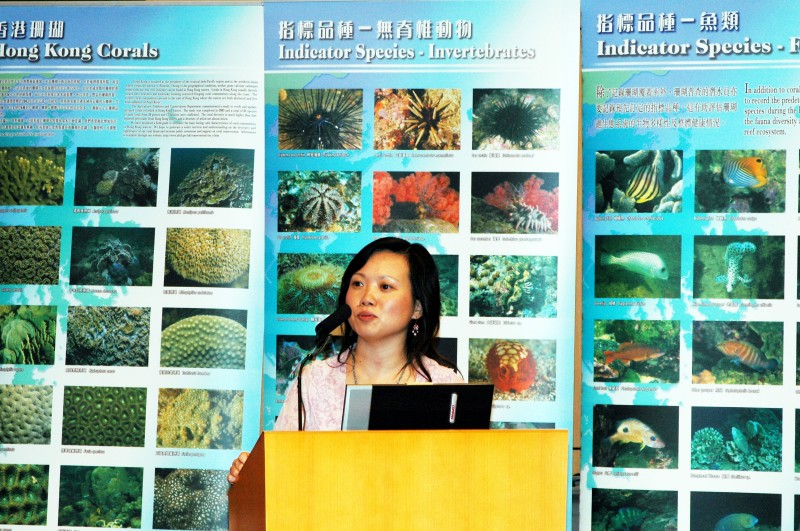 Seminar 31