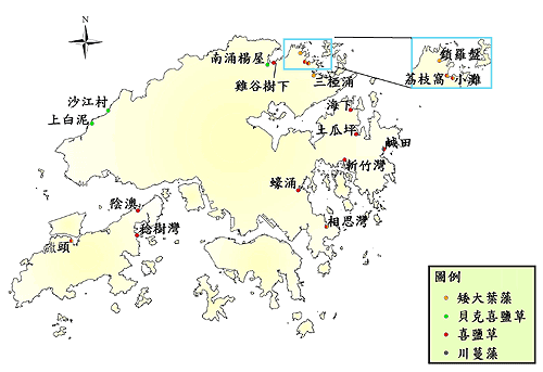  香 港 海 草 分 佈 [2002  至 2005  年 中 的 資 料 ]