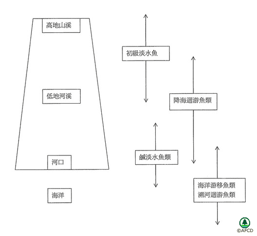 各 種 淡 水 魚 類 在 不 同 生 境 的 概 括 分 布 圖 : 初 級 淡 水 魚 主 要 分 布 於 高 地 山 溪 及 低 地 河 溪 ,鹹 淡 水 魚 類 主 要 分 布 於 河 口 地 區 ,海 洋 游 移 魚 類 主 要 分 布 於 海 岸 或 海 洋 ,迴 游 性 魚 類 主 要 分 布 於 河 溪 與 海 洋 之 間